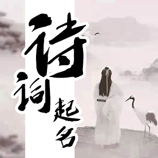 诗词起名